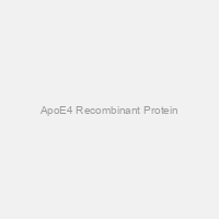 ApoE4 Recombinant Protein